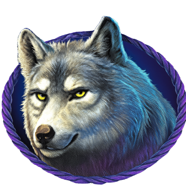 Lobo - símbolo - Buffalo King