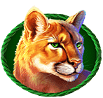 Puma - símbolo - Buffalo King