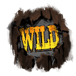 Wild - Duel at Dawn